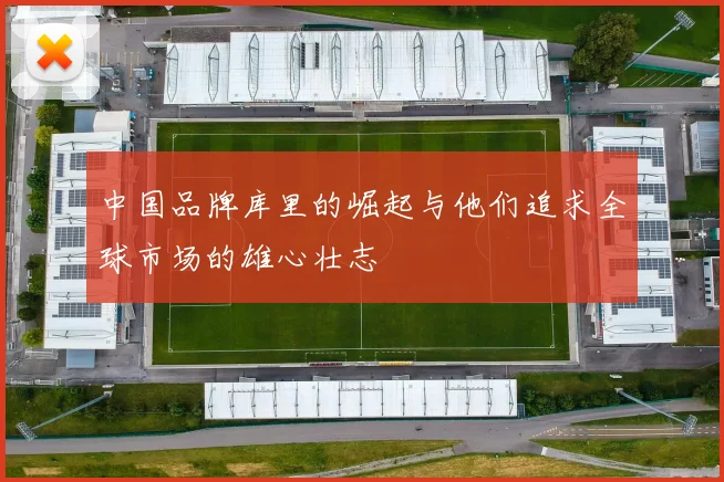 中国品牌库里的崛起与他们追求全球市场的雄心壮志