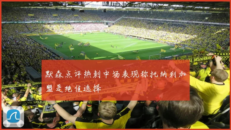 默森点评热刺中场表现称托纳利加盟是绝佳选择