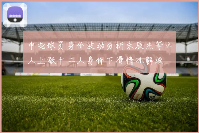 申花球员身价波动分析朱辰杰等六人上涨十二人身价下滑情况解读