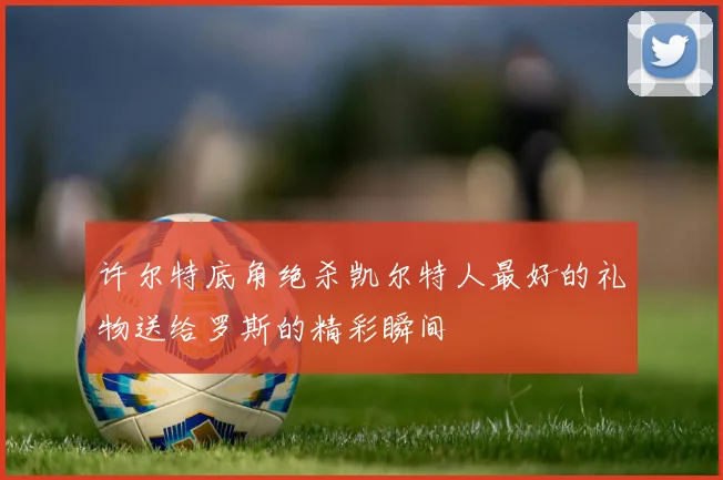 许尔特底角绝杀凯尔特人最好的礼物送给罗斯的精彩瞬间